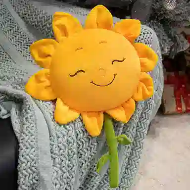 45cm