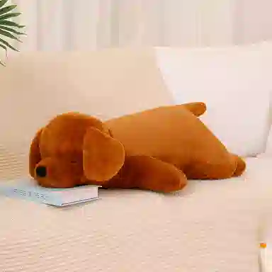 50cm80cm100cm