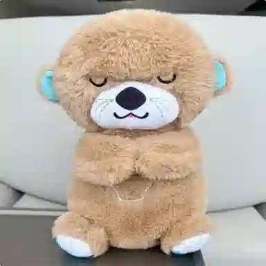 30cm