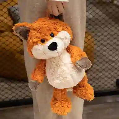 25cm35cm