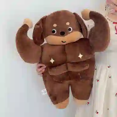 50cm