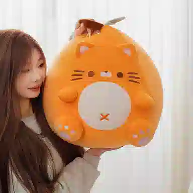 23cm50cm