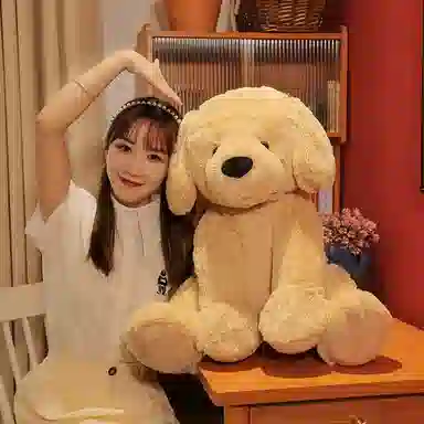 35cm55cm