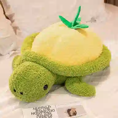 35cm50cm60cm80cm
