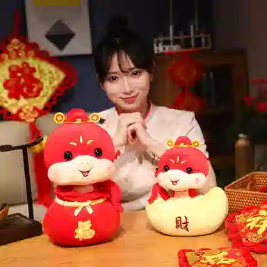 25cm35cm