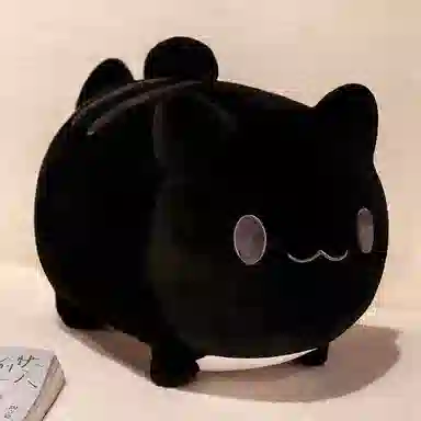 20cm25cm