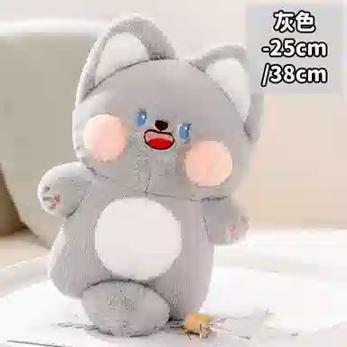 25cm38cm