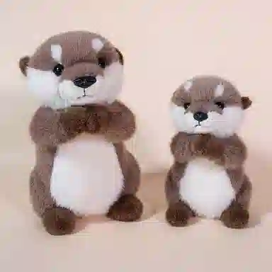 25cm35cm