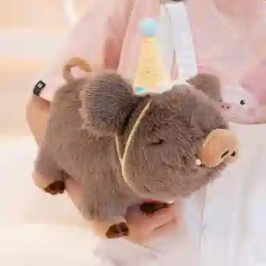 20cm30cm
