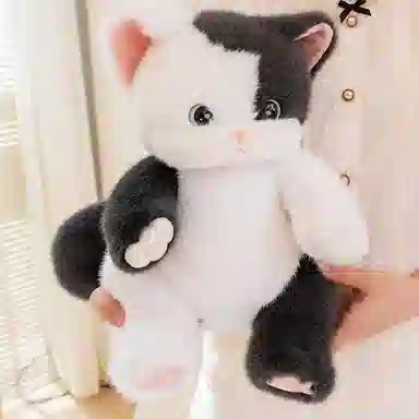 38cm