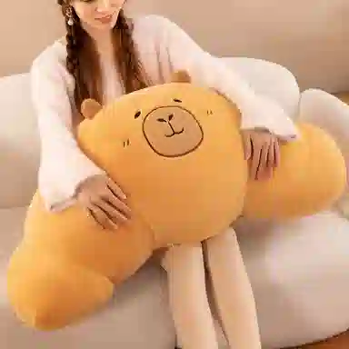 25cm50cm80cm