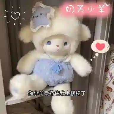 35cm55cm