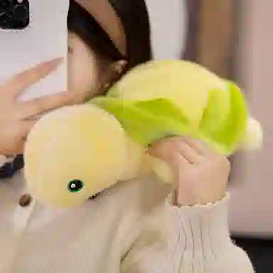 24cm34cm