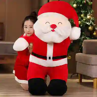 25cm35cm50cm