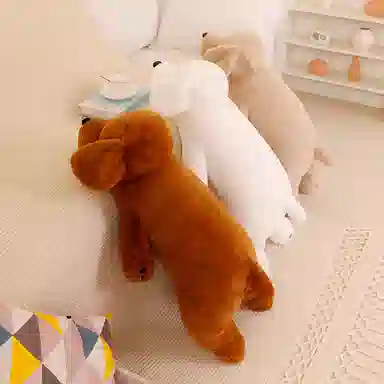 50cm80cm100cm