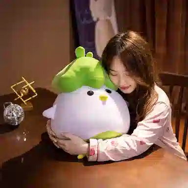 25cm45cm