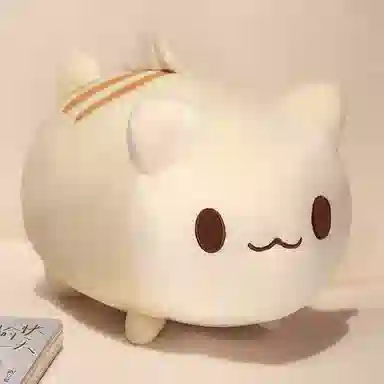 20cm25cm