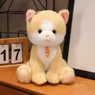 23cm25cm