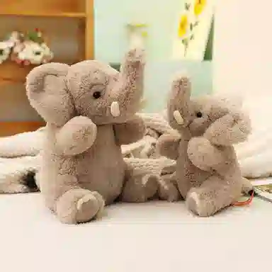 25cm30cm35cm45cn55cm