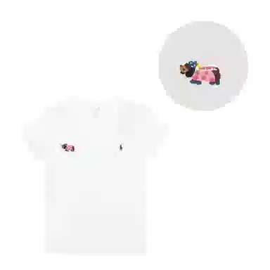 Polo Ralph Lauren Logo V T