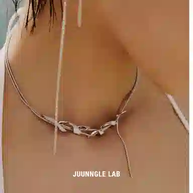 Juunngle lab