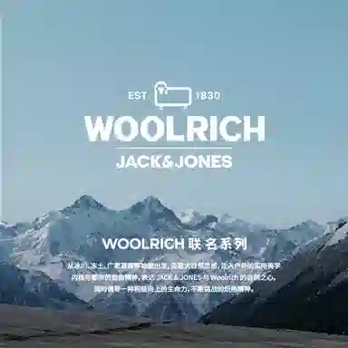 Jack Jones Vintage Down Jacket