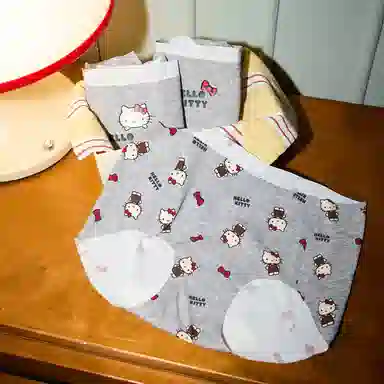 GUKOO x Hello Kitty 3