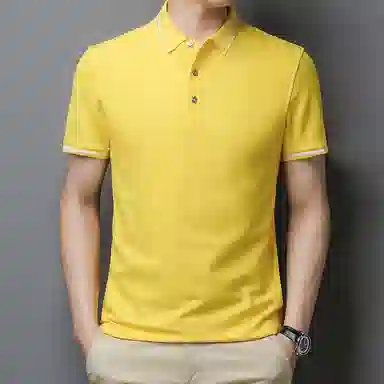PIERRE CARDIN Polo