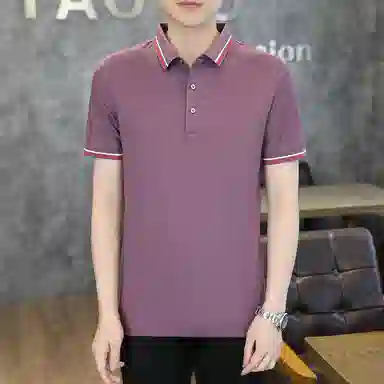 PIERRE CARDIN Polo