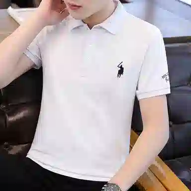 PIERRE CARDIN Polo