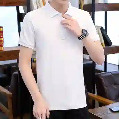 PIERRE CARDIN Polo