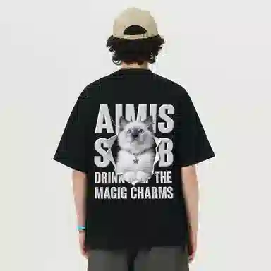 AIMISS T