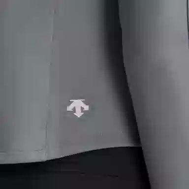 DESCENTE SKI STYLE logo