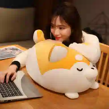 30cm40cm50cm60cm70cm