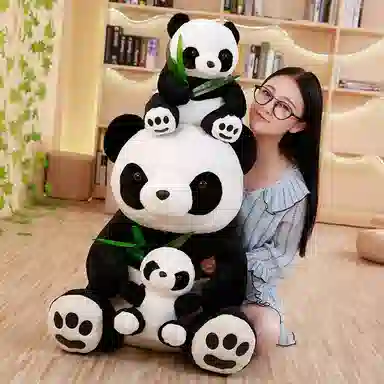 25cm30cm40cm50cm75cm