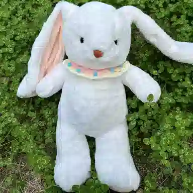 25cm35cm