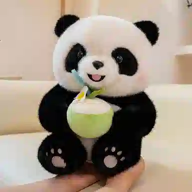 25cm35cm