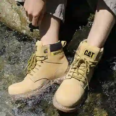 CAT eColorado