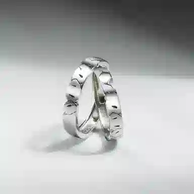 cooraree S925 inss925 S925