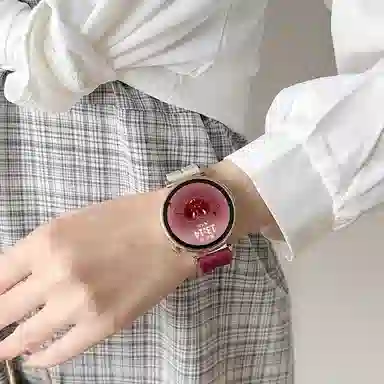 gt5gt4gt3watch43pro 135208mm