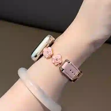 apple watchS11iwatchS1098765SE4