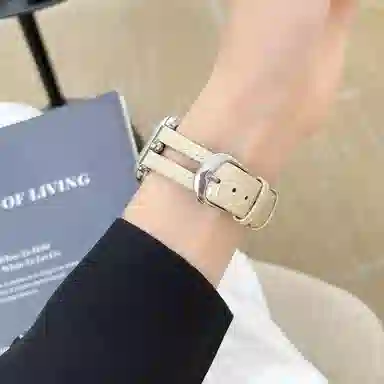 applewatchs987Tiwatchultra2 20mm