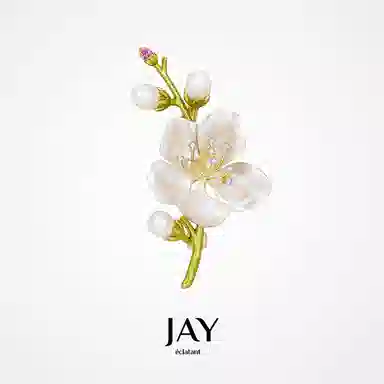 JAY
