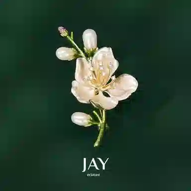 JAY