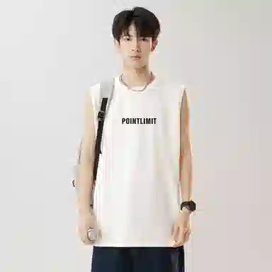 POINTLIMIT Logo