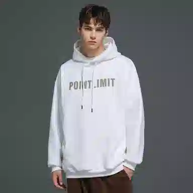 POINTLIMIT Logo 2