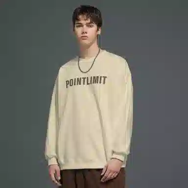 POINTLIMIT Logo 2