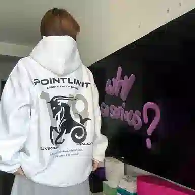 POINTLIMIT Logo