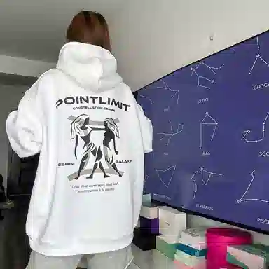 POINTLIMIT Logo