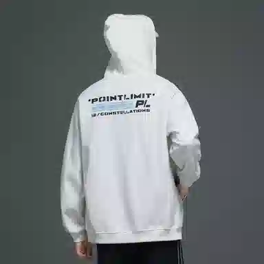 POINTLIMIT Logo